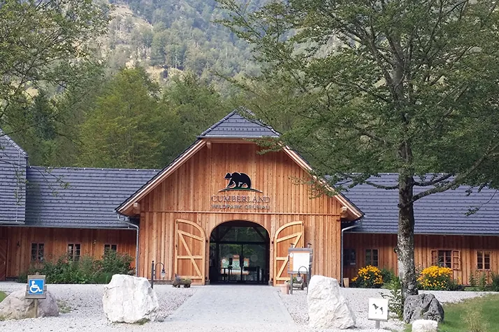Hirsch im Cumberland Wildpark Grünau